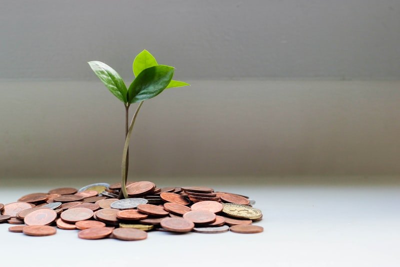 Wealth Management